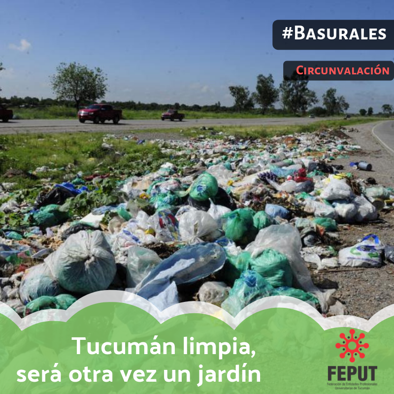 Los basurales que se esparcen por la ciudad