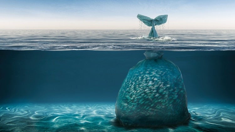 Ahogados por el plástico: la contaminación de los océanos crece de forma alarmante