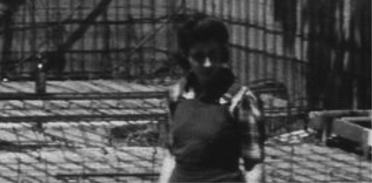 Evolución de la Mujer Arquitecta en los ultimos 30 años