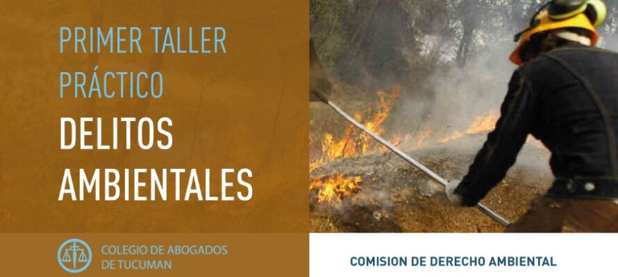 Primer taller práctico Delitos Ambientales