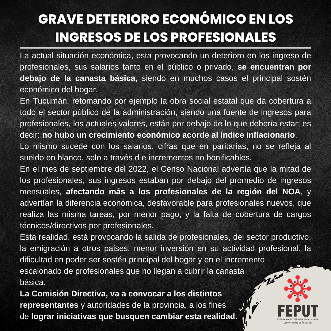 Grave deterioro económico en los ingresos de los Profesionales