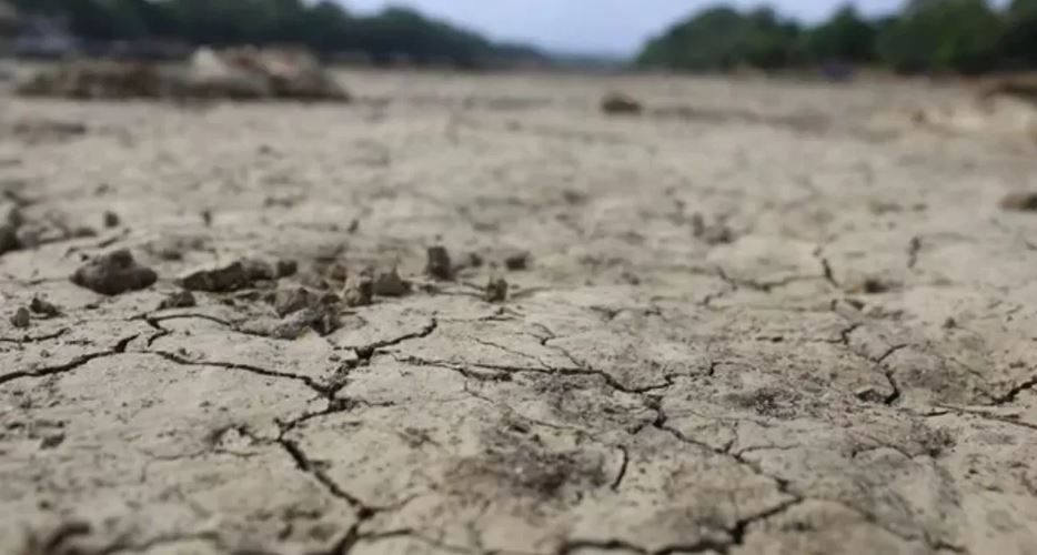 Tucumán, a las puertas de una emergencia agropecuaria